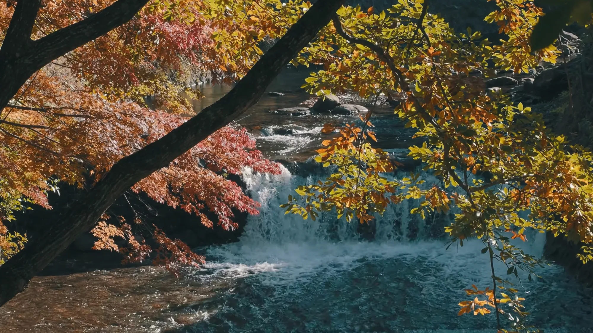 A waterfall among autumn maples near Kurokawa Onsen
