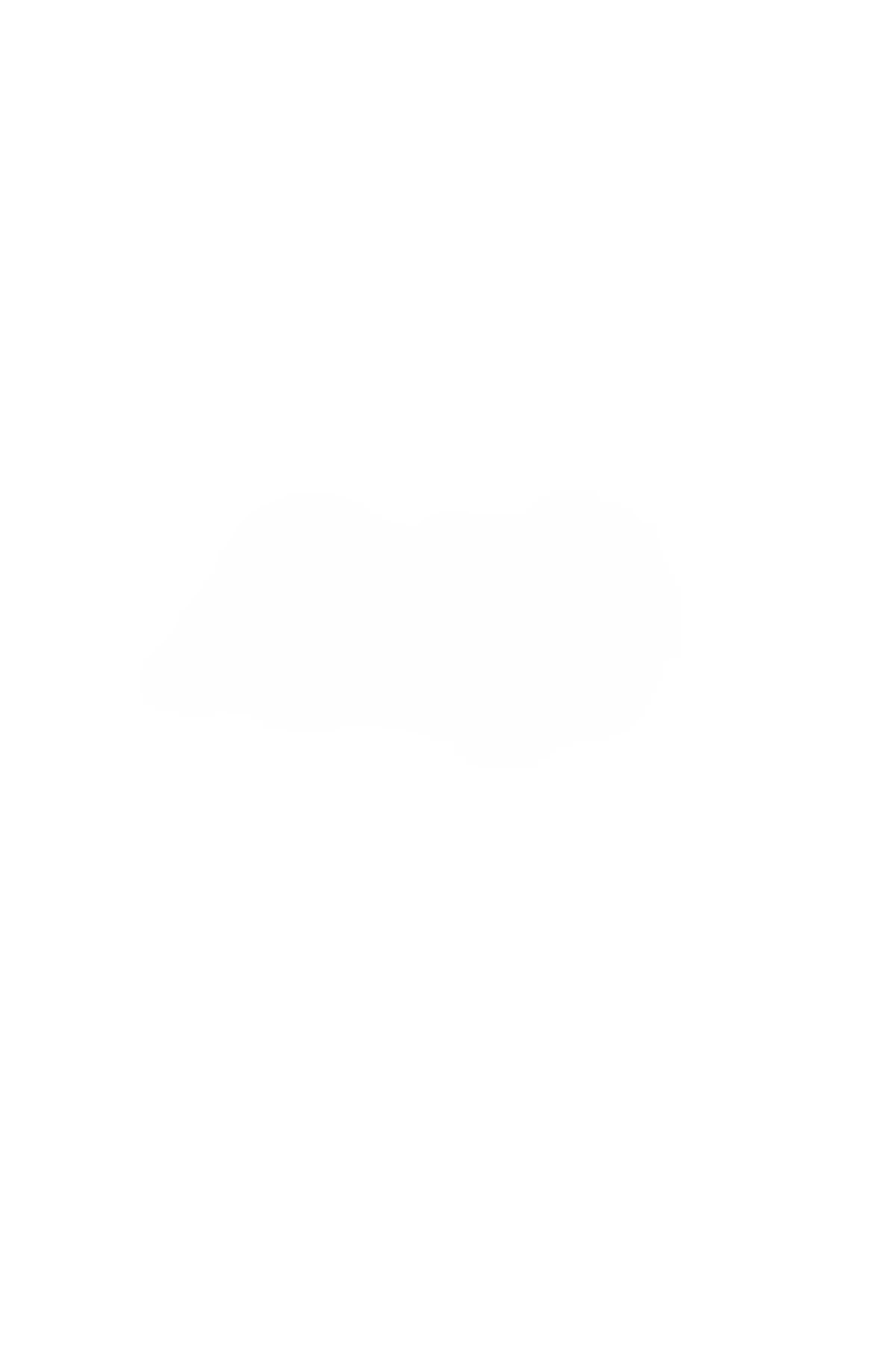 Décor de Nuage Whiscat Studio