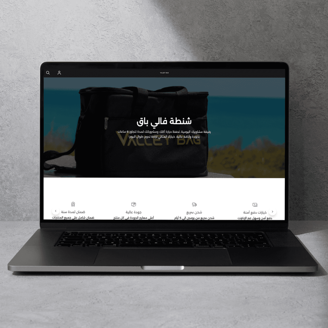 Valleybag E-store laptop