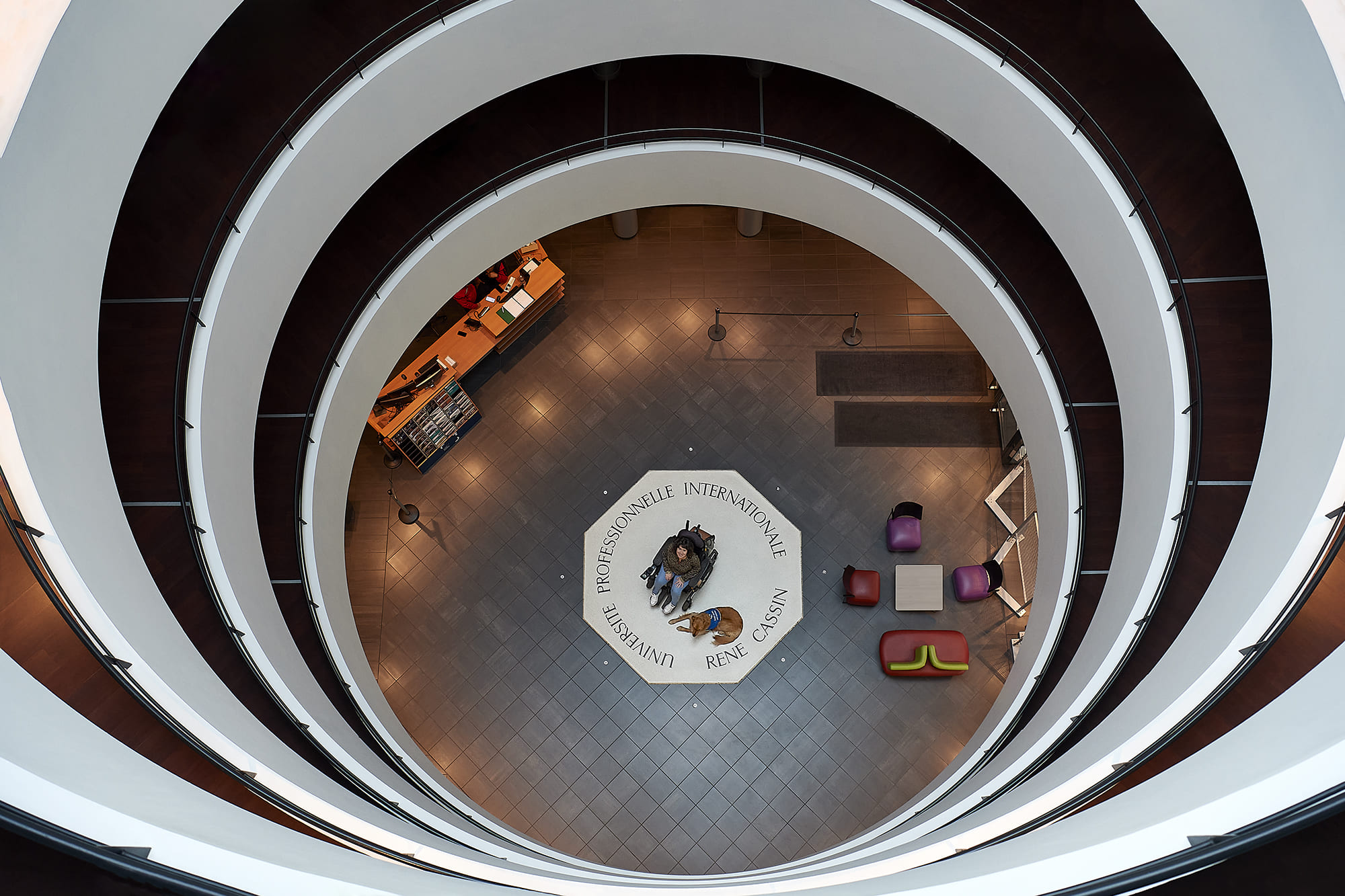 Mandine accompagnée de son chien d’assistance Sherlock, photographiés par Frédéric Bourcier à l’Institut de Management des Industries de la Santé à Lyon dans le cadre d’un reportage documentaire social pour Handi’Chiens.