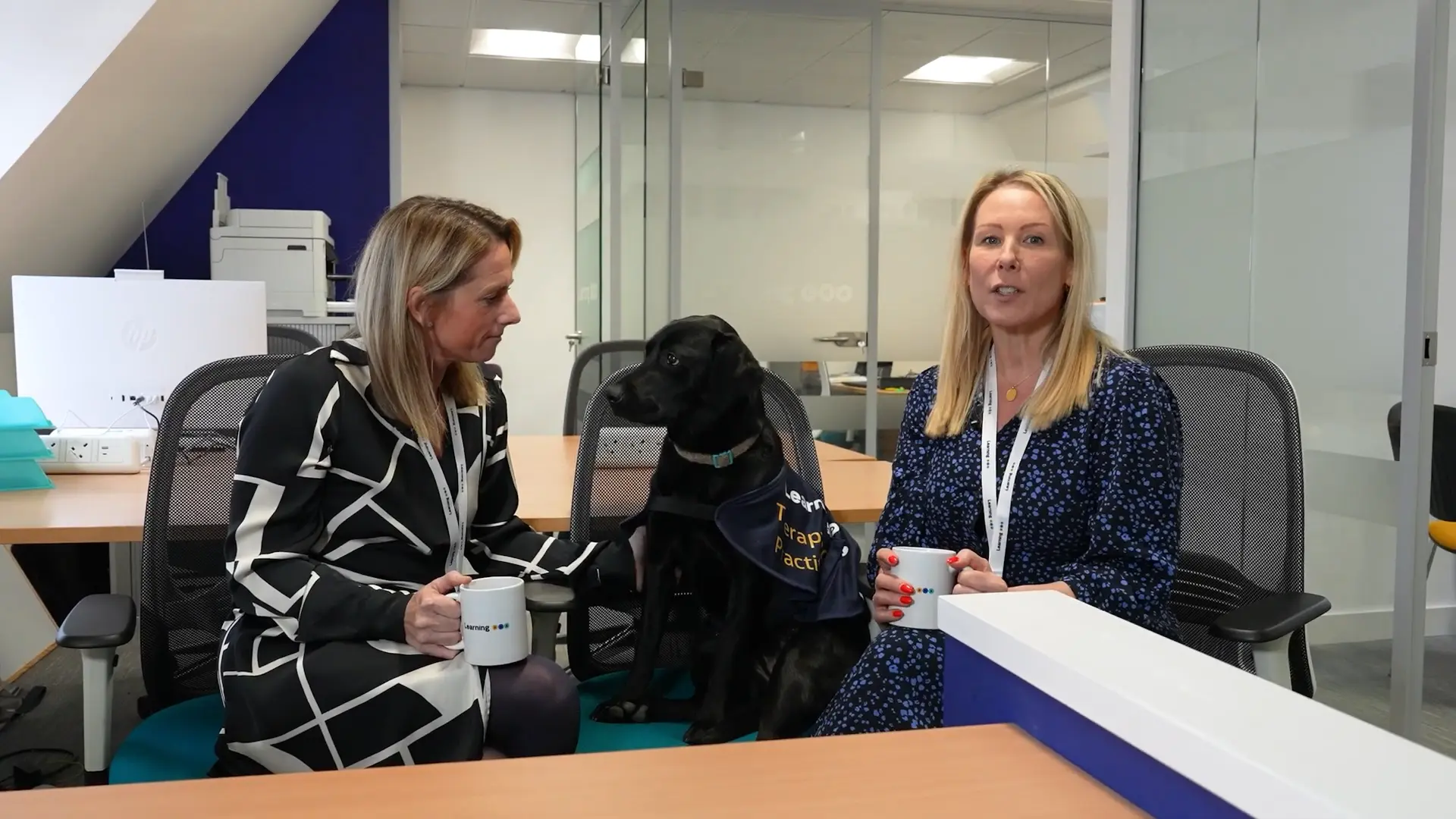 UK video production crafting brand narrative for Learning DNA