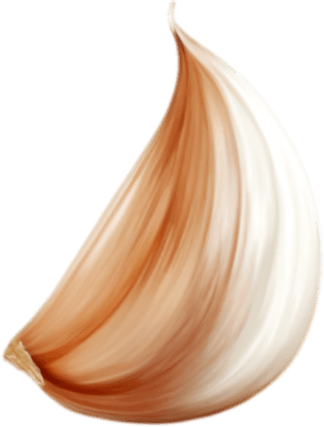 garlic_3