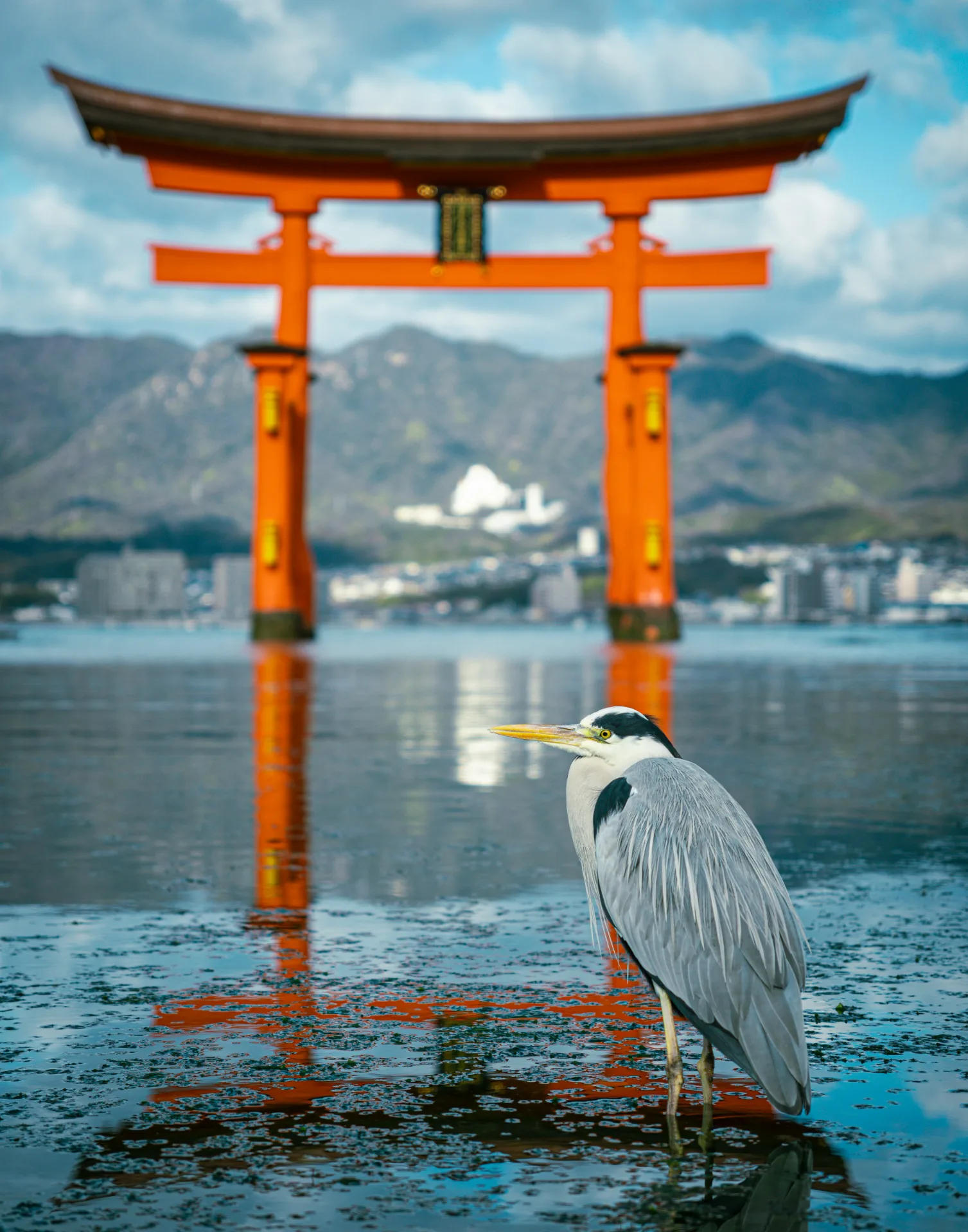 The Floating Torii Gate at Miyajima Island, Japan