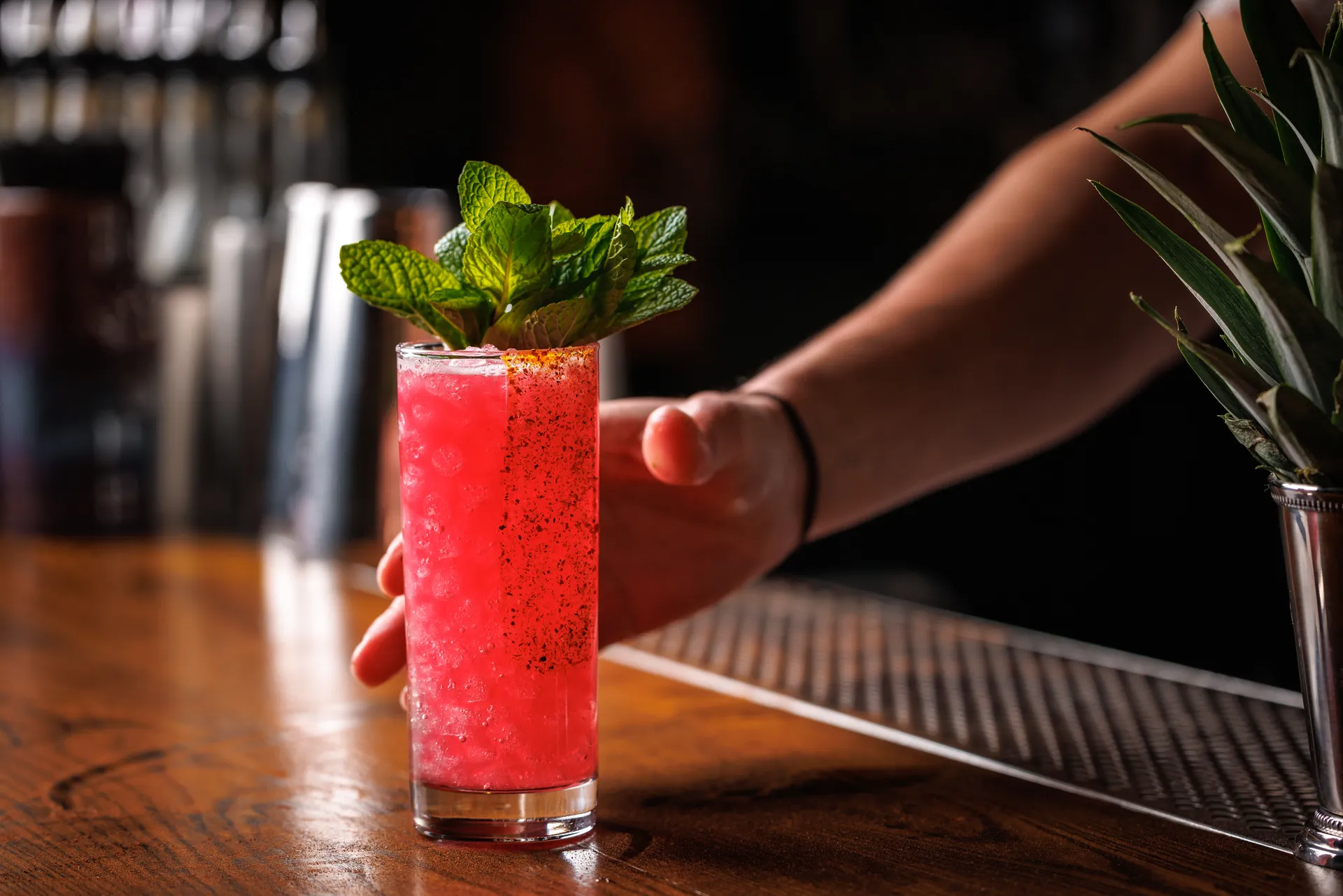 High resolution photo of a red cocktail with mint