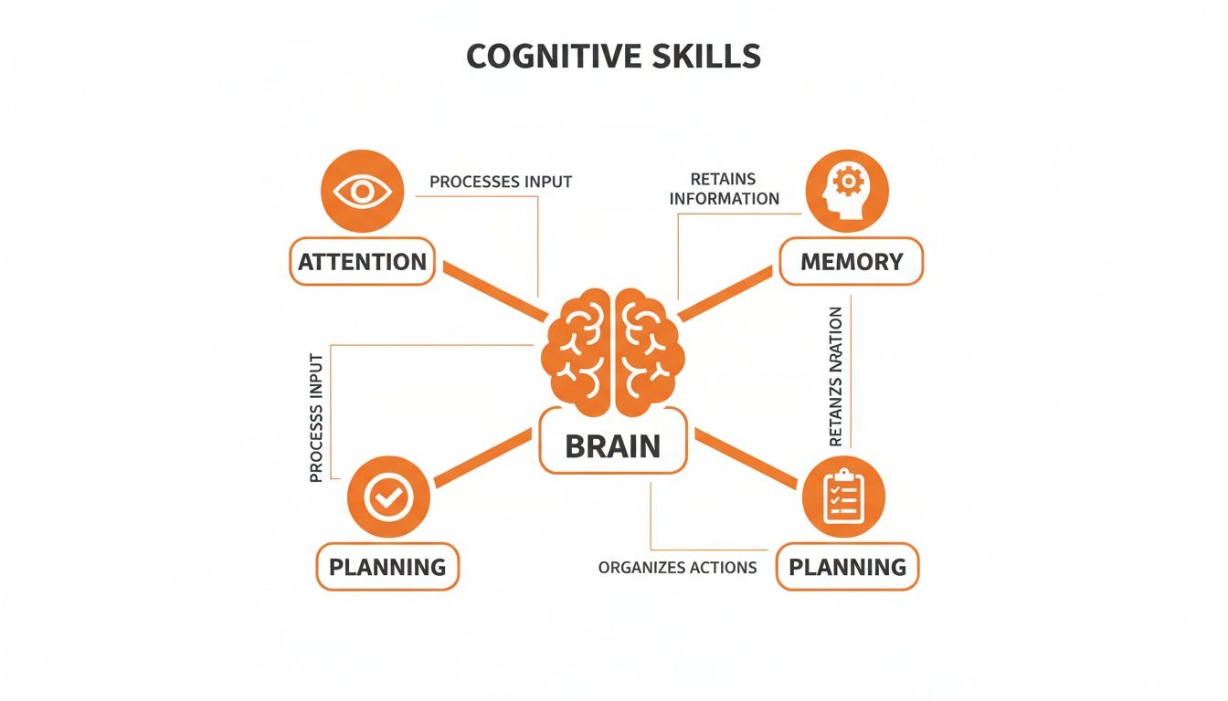 A diagram showing how the brain utilizes cognitive skills such as attention, memory, and planning.