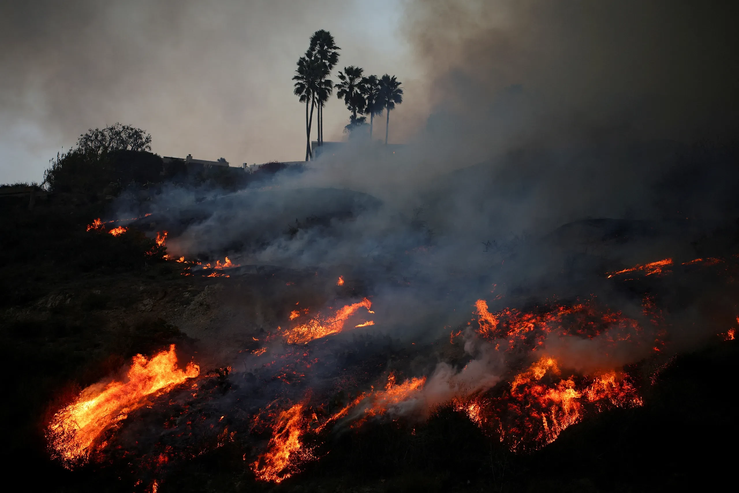 LA's Burning Crisis: Insurance and Policy Torn Apart