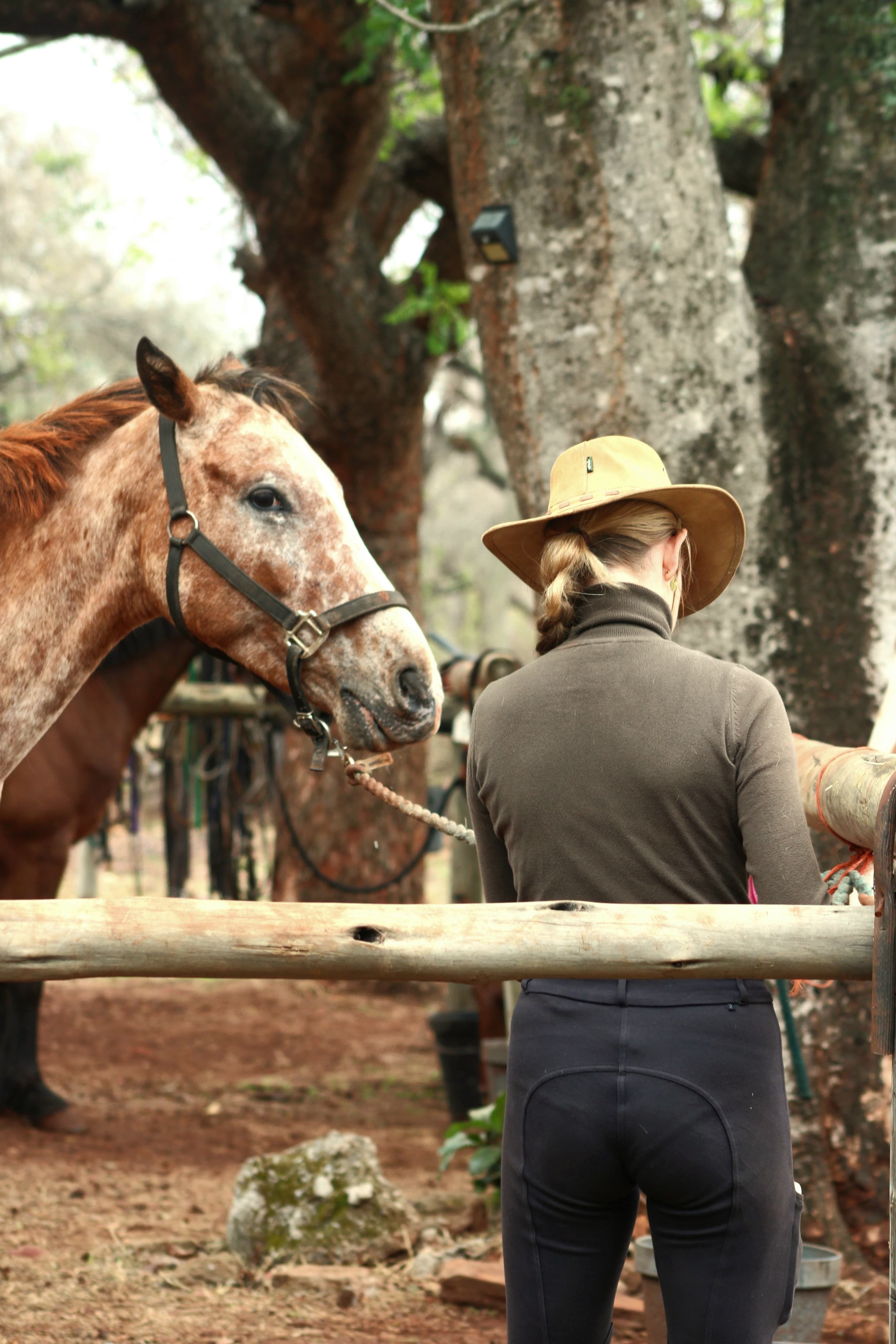 Kilimanjaro Elephant Ride, Arusha National Park, Tanzania – elefant i högt gräs tittar mot kameran, medan fem ryttare till häst på ridsafari i bakgrunden betraktar elefanten i ett grönt och frodigt landskap.