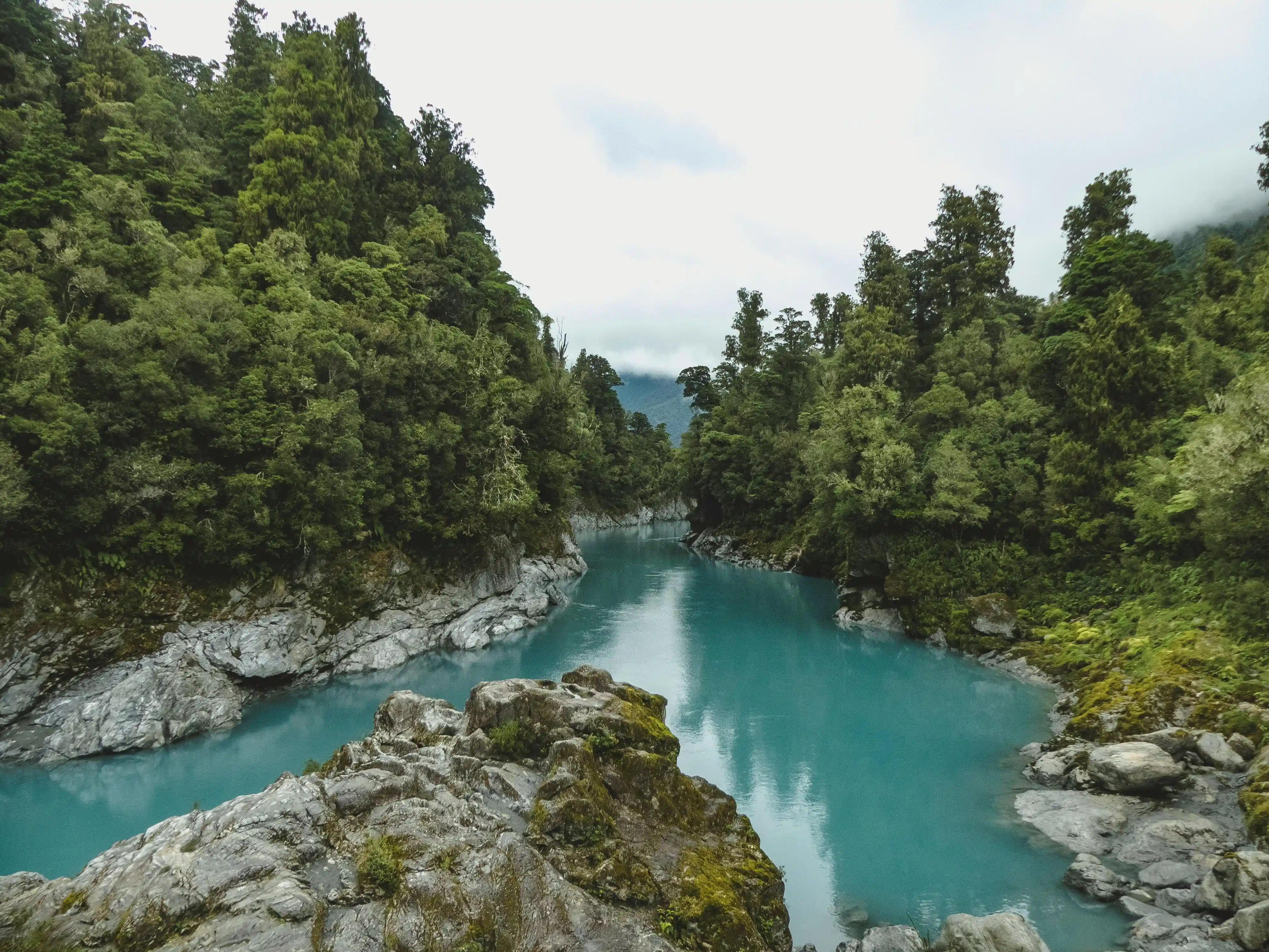 Kokatahi Westküste Neuseeland