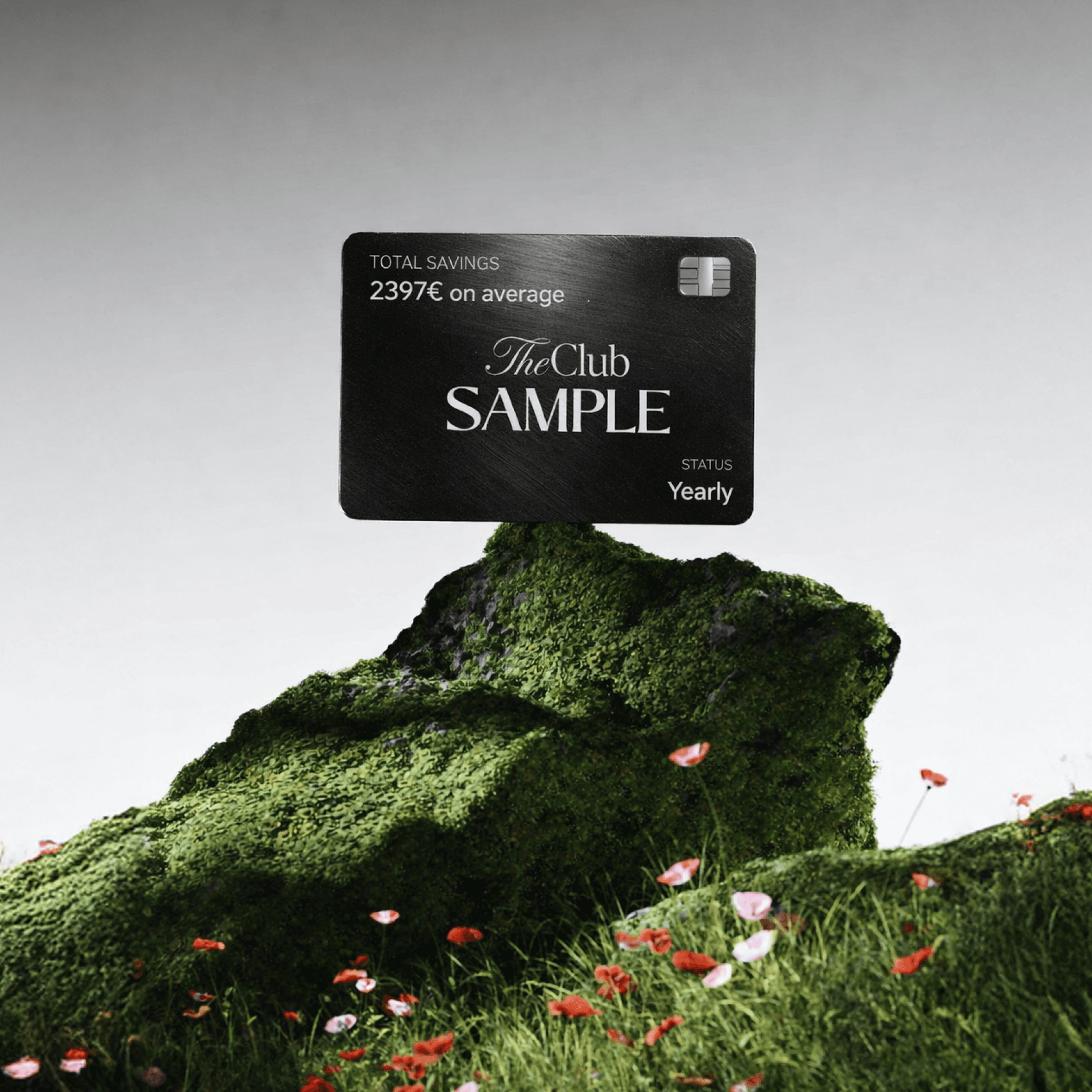 Here comes the alt text