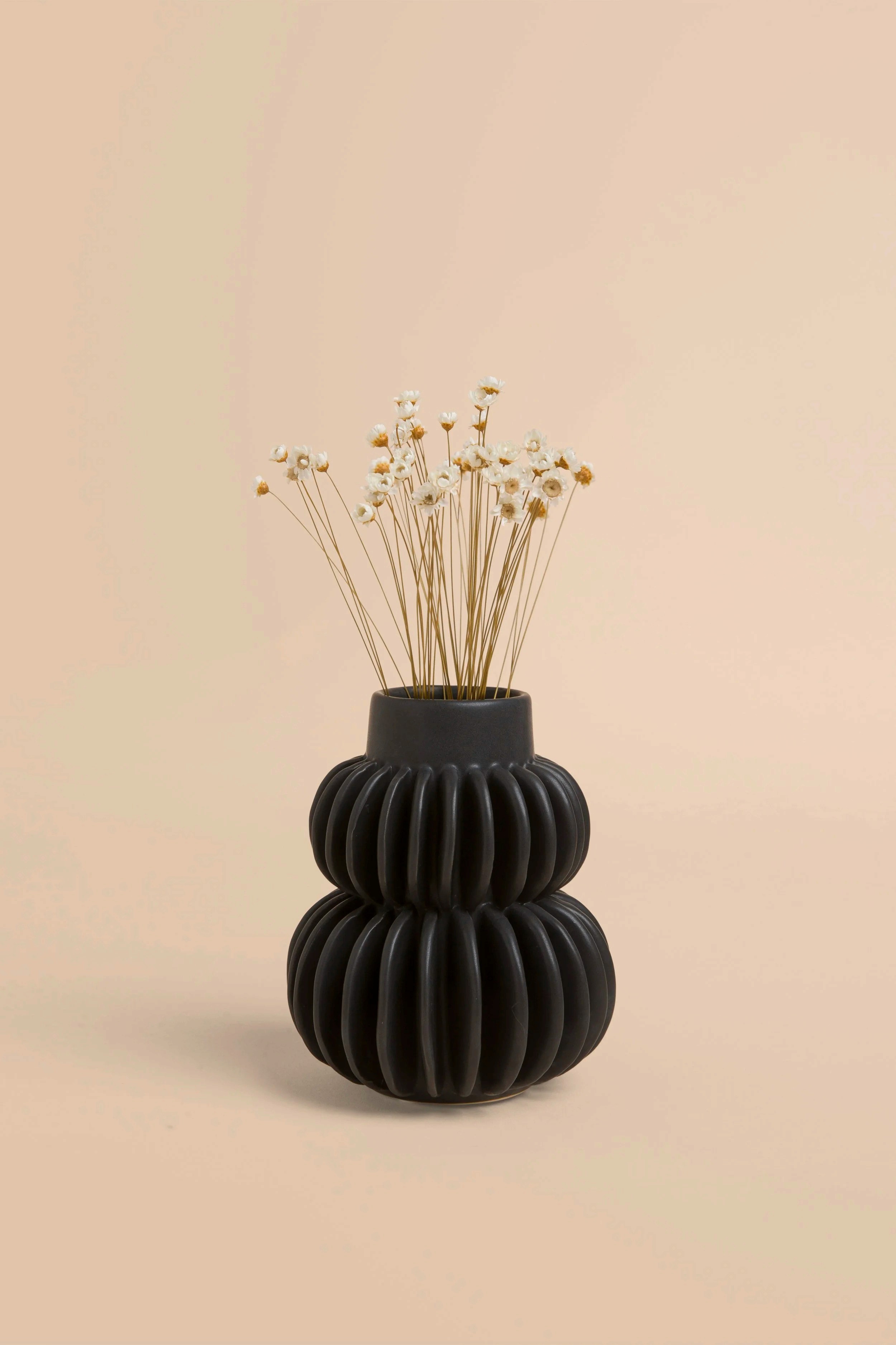 Project Oblique Gallery Photograph