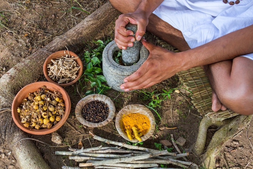 ayurveda and tibetan medicine retreat in india