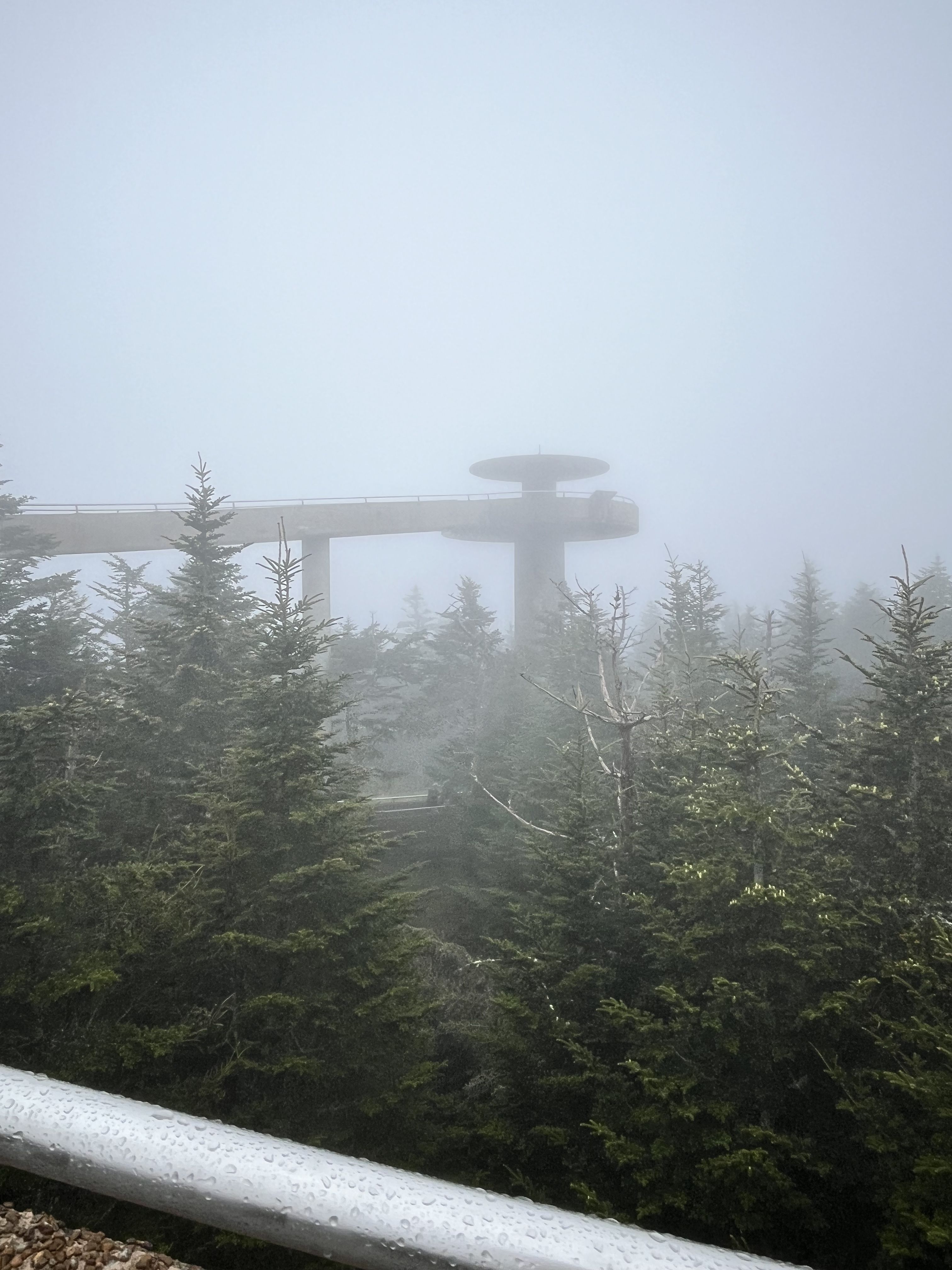 Best Unique Outdoor Activities Near Pigeon Forge
