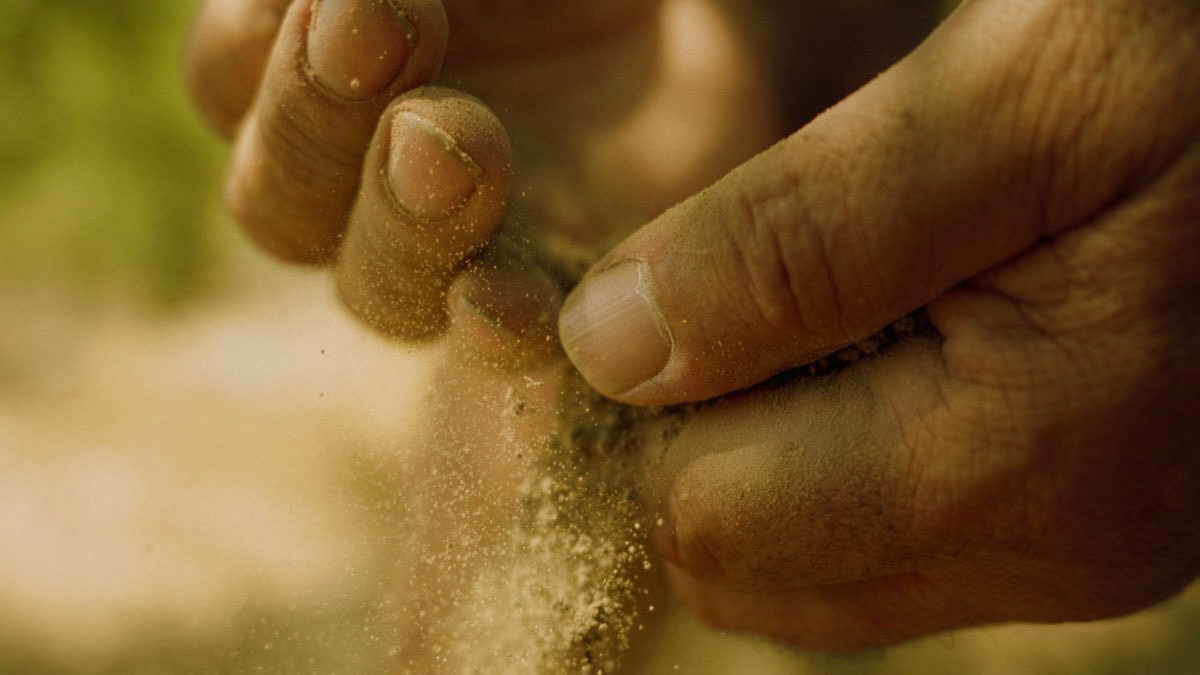 Zeit Loulou Soil in Hands