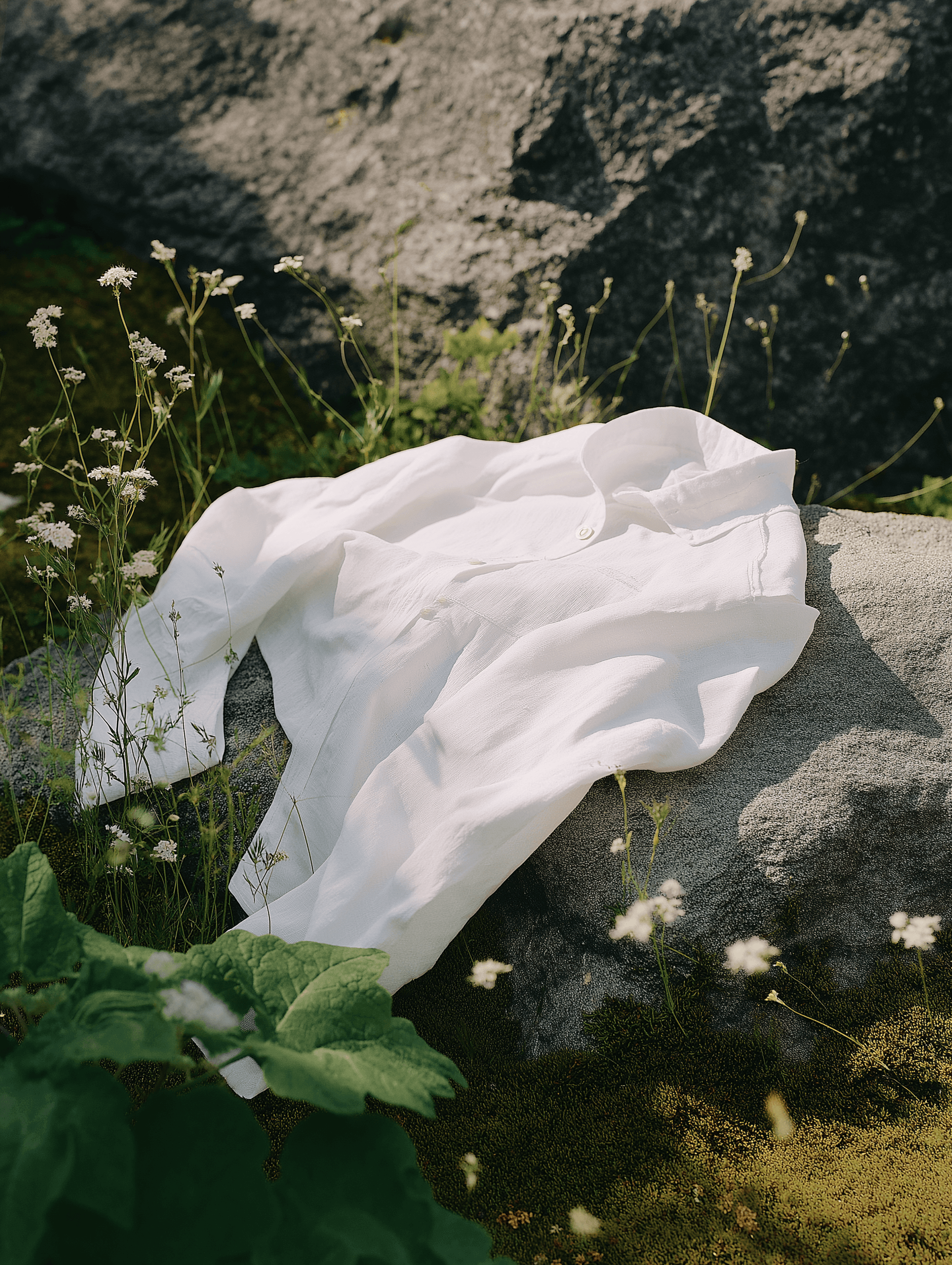white shirt on a rock