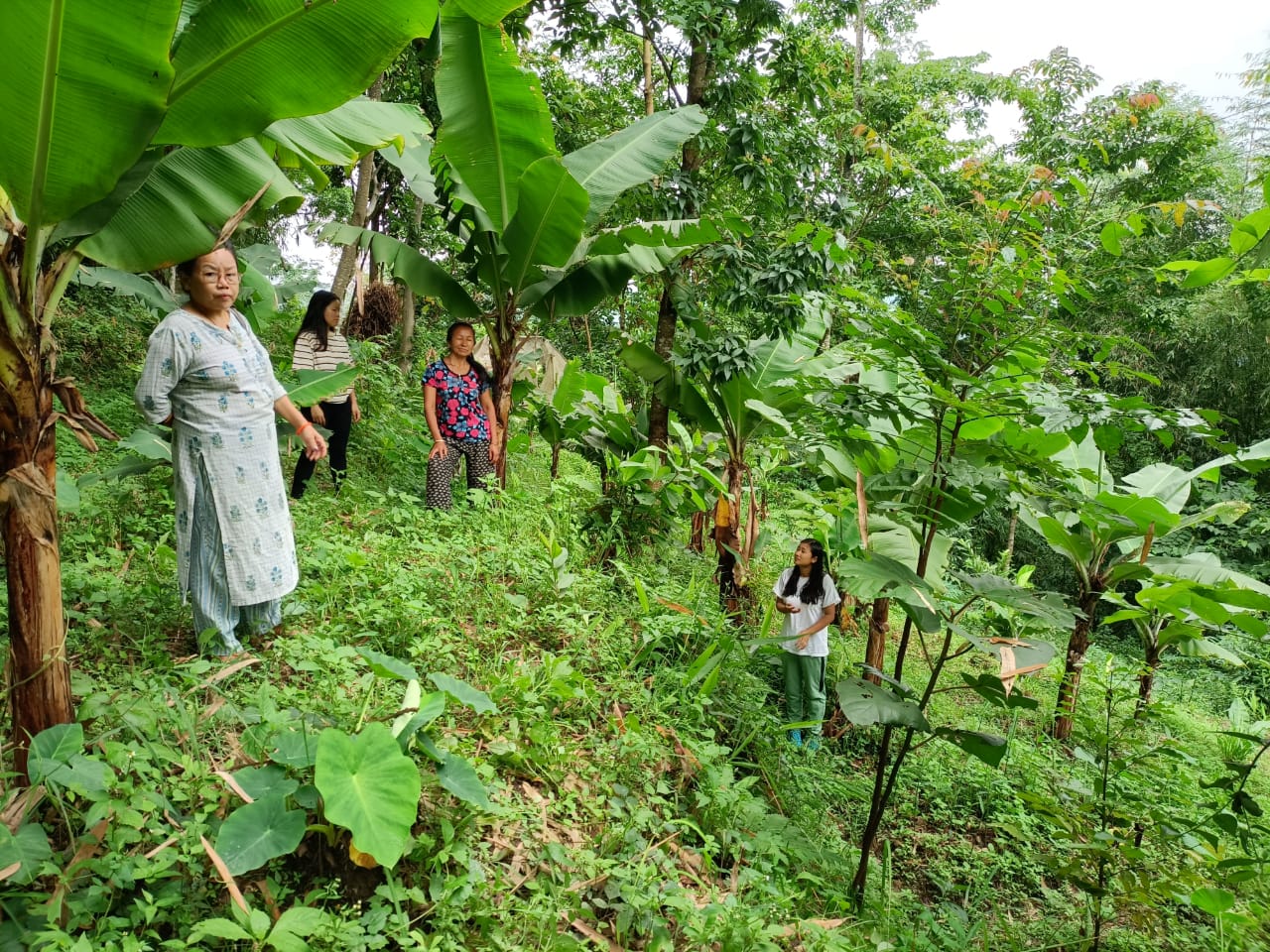 Sample image from a project