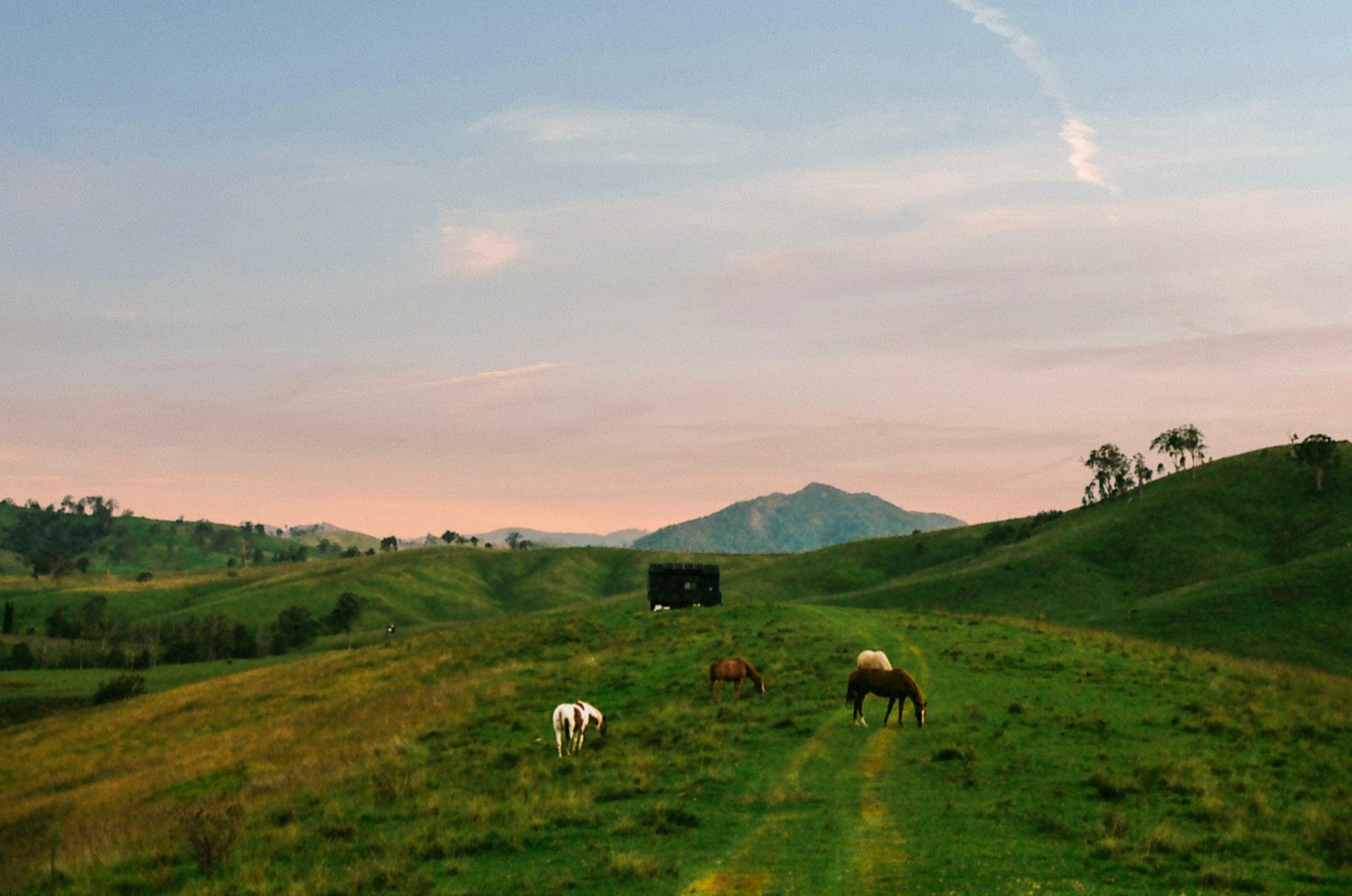 Christian Wiediger Unsplash