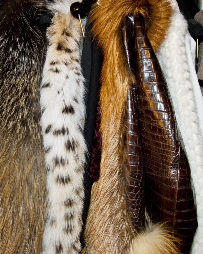 studio for photography