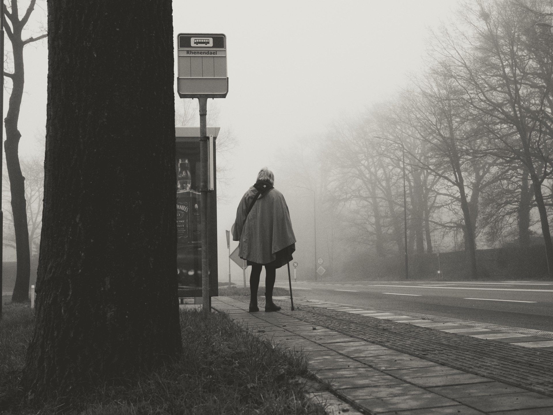 Black-and-white photo of a lone figure in a cloak holding a walking stick at the “Rhenendael” bus stop, facing a foggy, tree-lined road; a large tree trunk fills the left foreground and a bus shelter with an advertisement stands beside the figure, creating a quiet, solitary atmosphere.