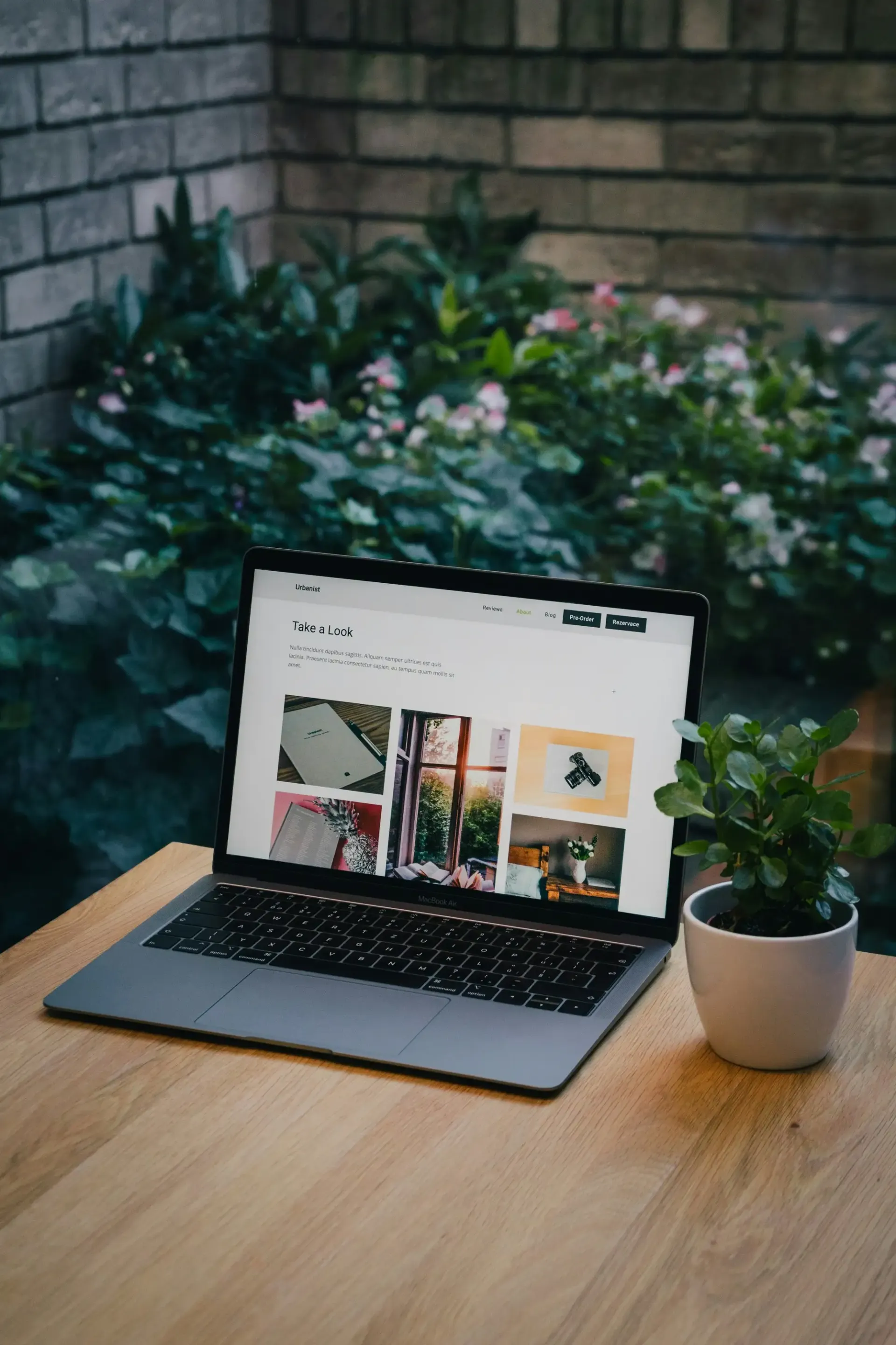 MacBook with plant