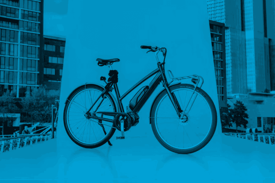 Female-Swapfiets-e-Bike