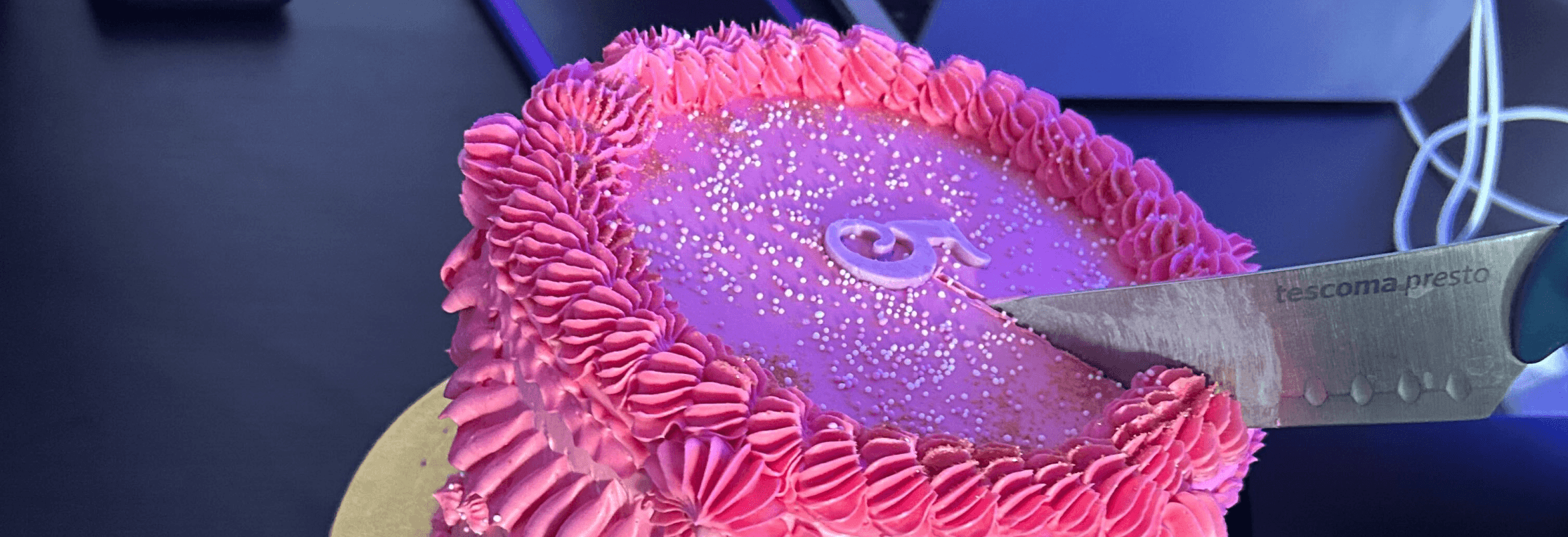 Tolgee-pink birthday cake