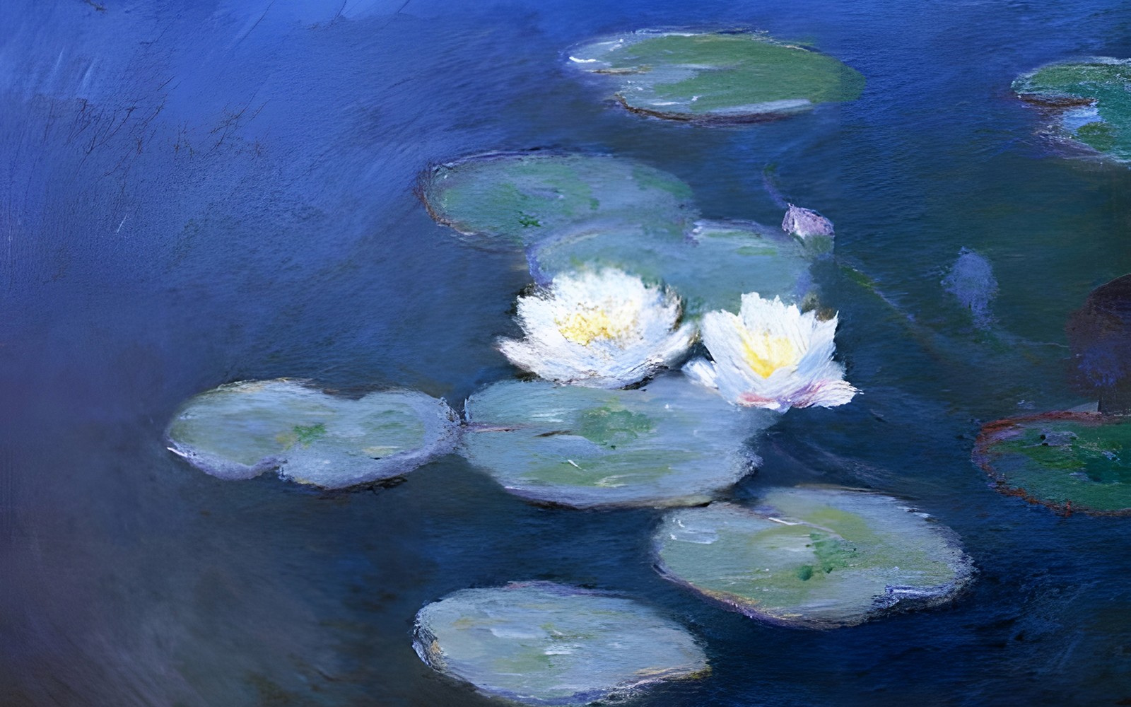 莫奈花园的池塘里盛开的睡莲,位于法国吉维尼。