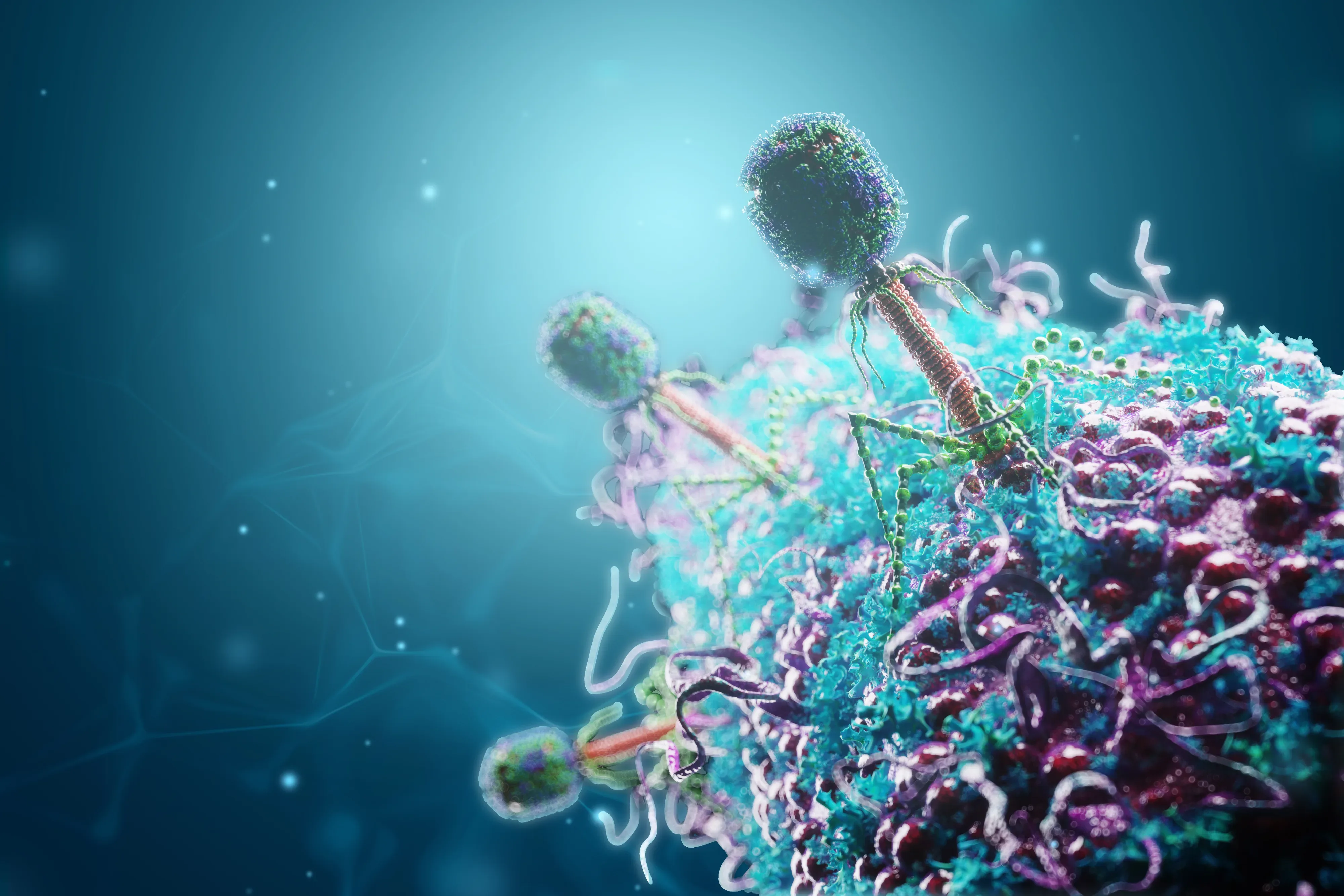 A virtual image of viruses on a cell.