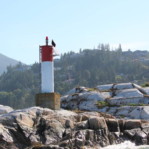 联合国教科文组织生物圈保护区和宝云岛游船之旅