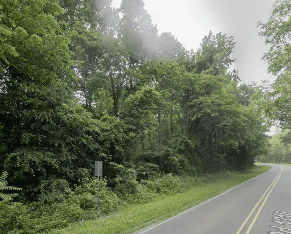 Wooded land bordering a two-lane road