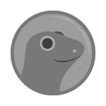 Icon Svg