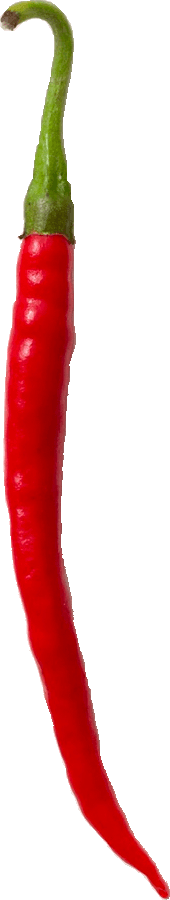 red-chilli-1