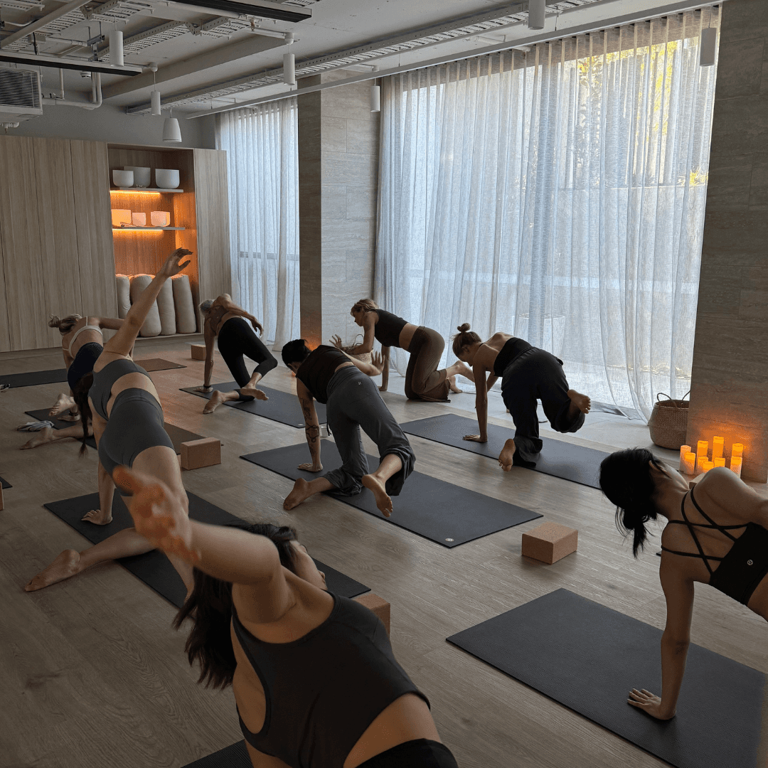 Spacious yoga studio with clean floors and calming ambiance.