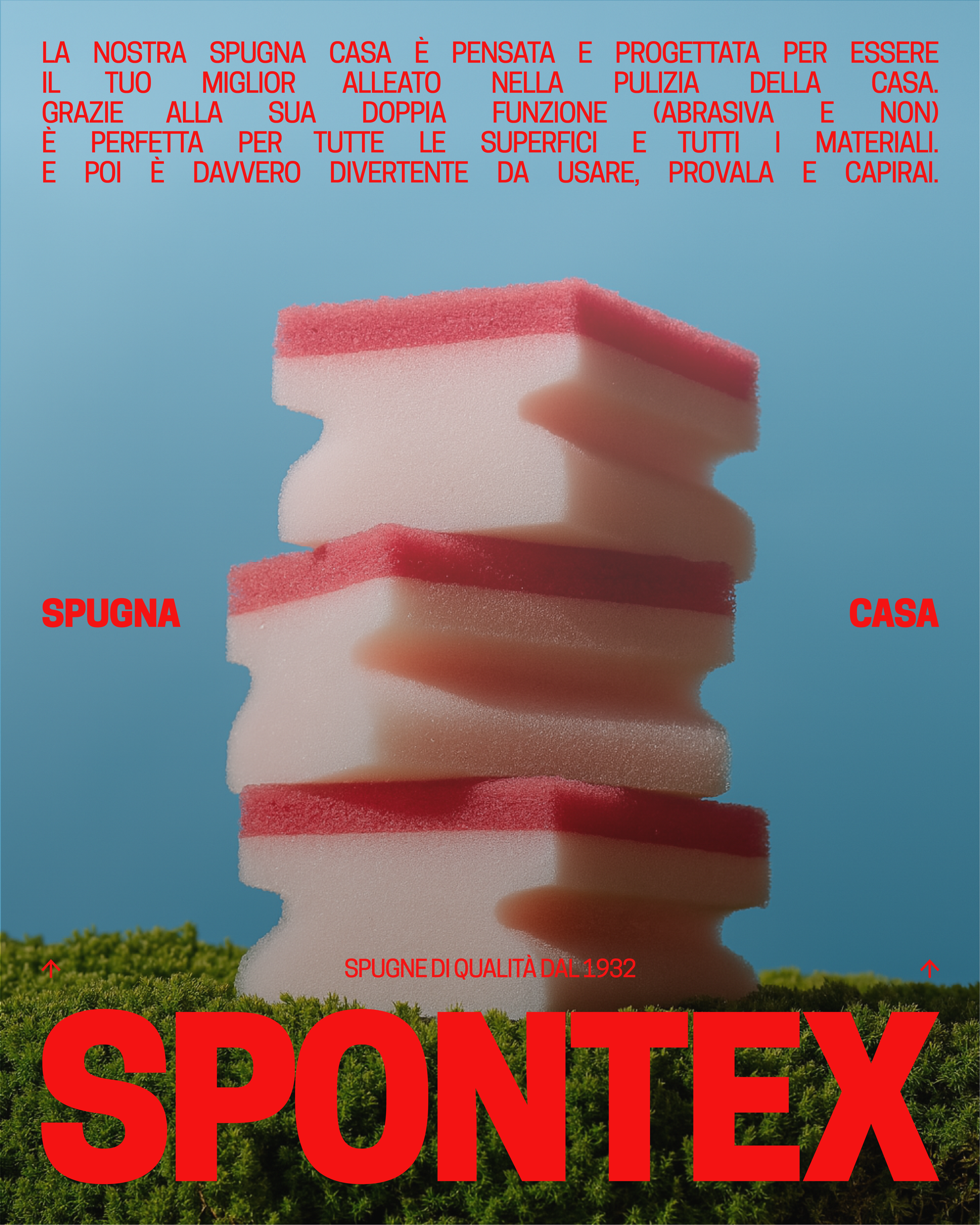 Visual Spontex home sponge