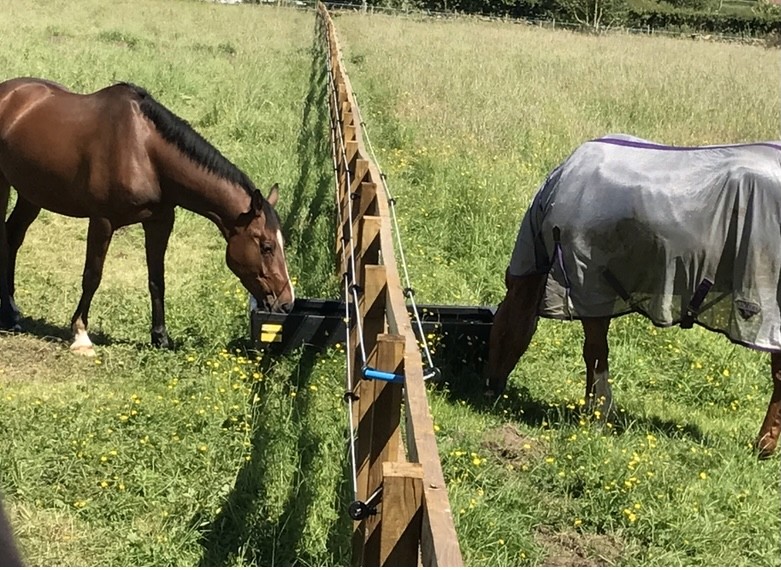 Post & Rail with Electric Fencing