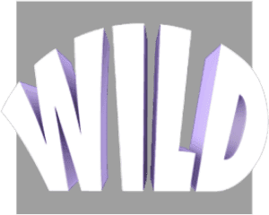 Space Wars - Wild officiel NetEnt
