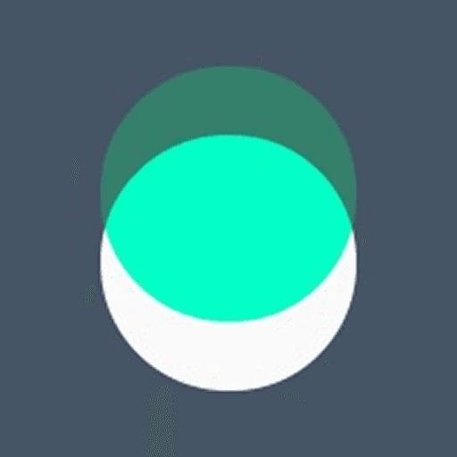 Front-End Developer