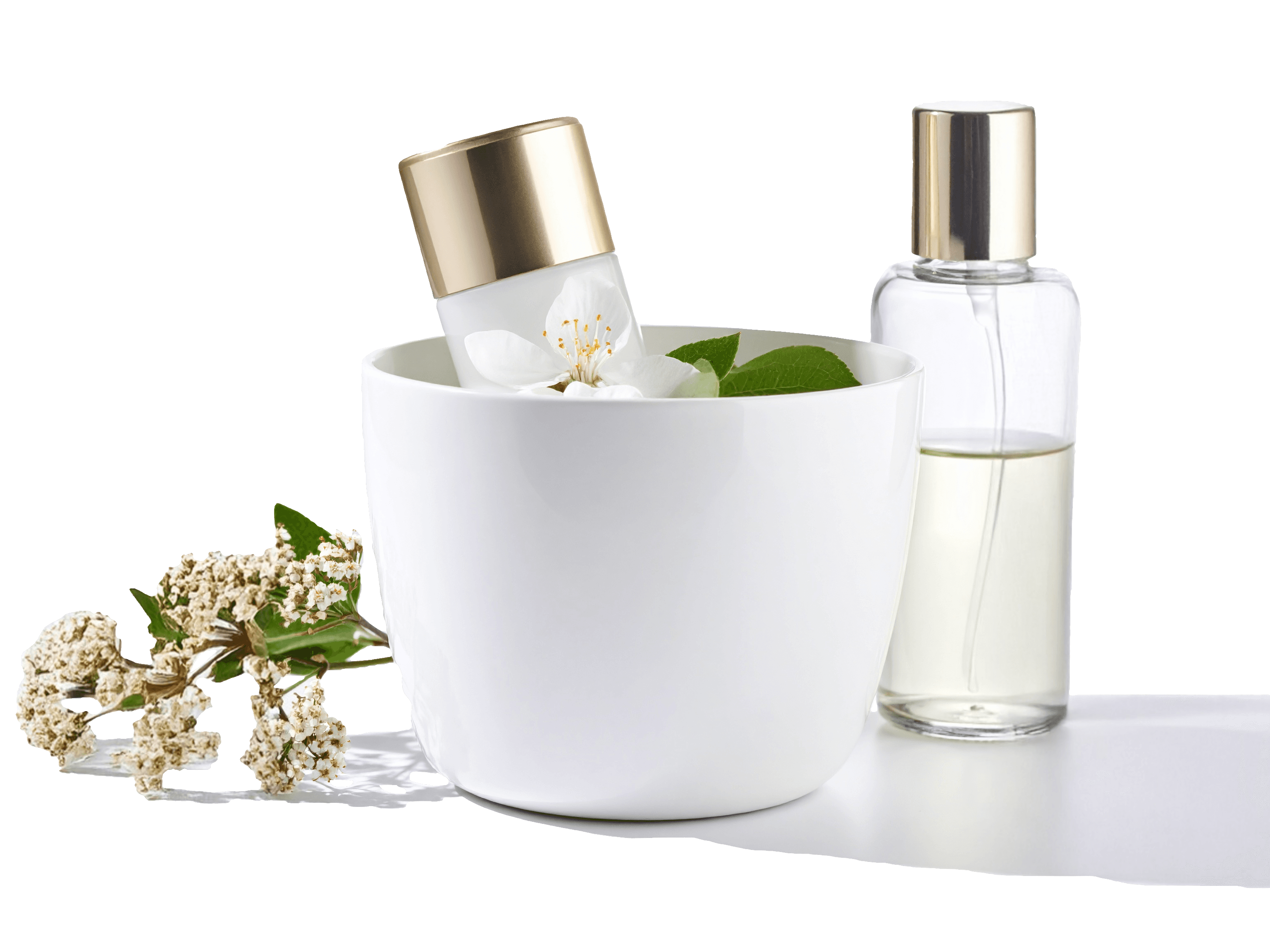 Tools for Naturopathy