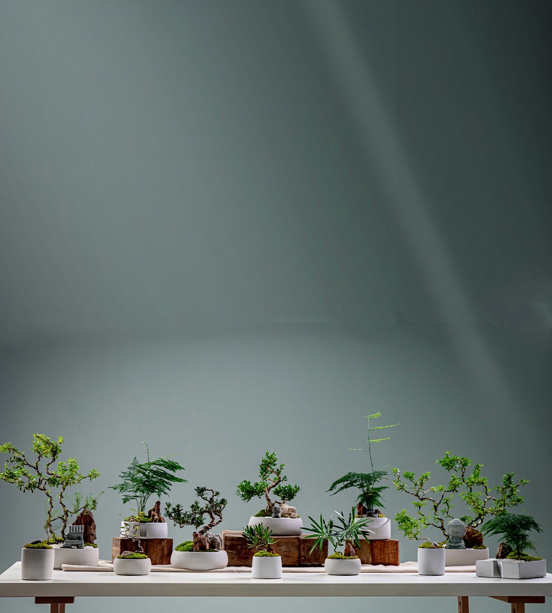 A skincare tube placed on dark, moss-covered rocks, surrounded by a natural, earthy backdrop.