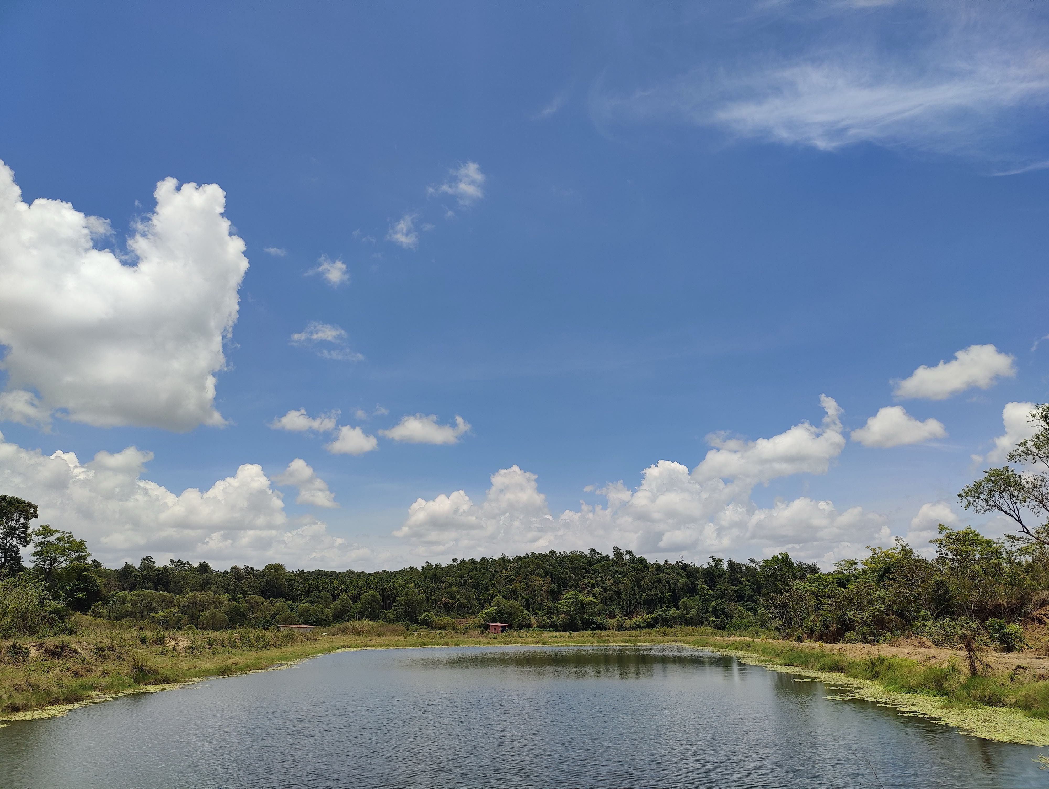 Lake view at Sannidhi Eco farms Sakleshpur