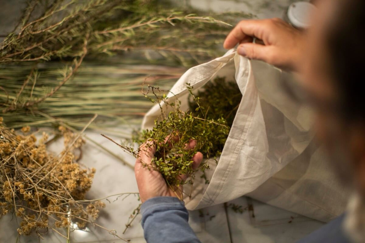 explorando sabores para la creación de Vermú La Fuerza