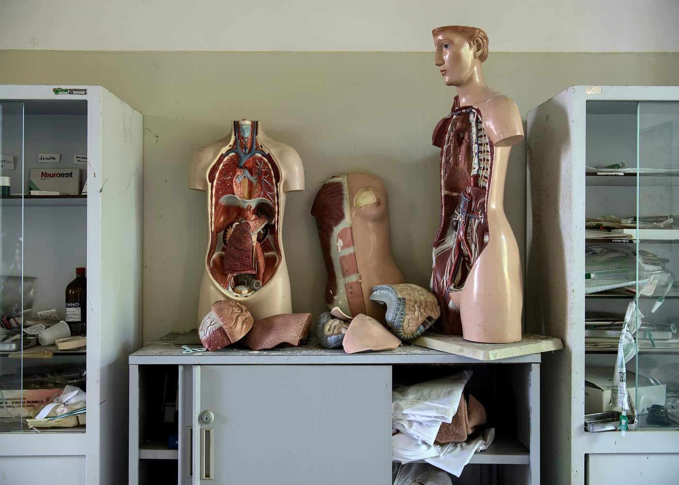 Several mannequins showing the human body anatomy in a classroom setting
