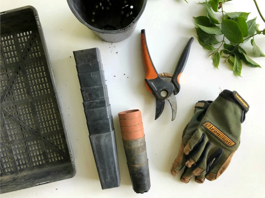 Various gardening tools leaning against a wooden wall.