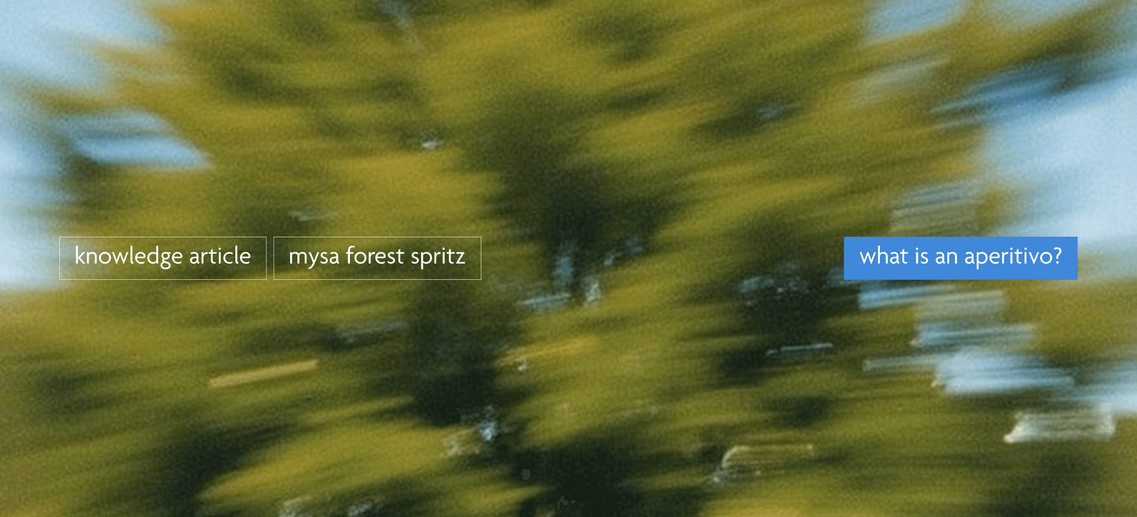 tree slightly blurred