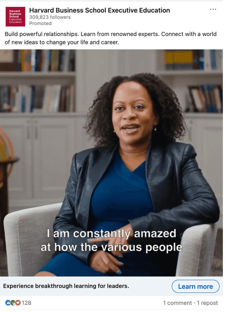 LinkedIn Video Ads