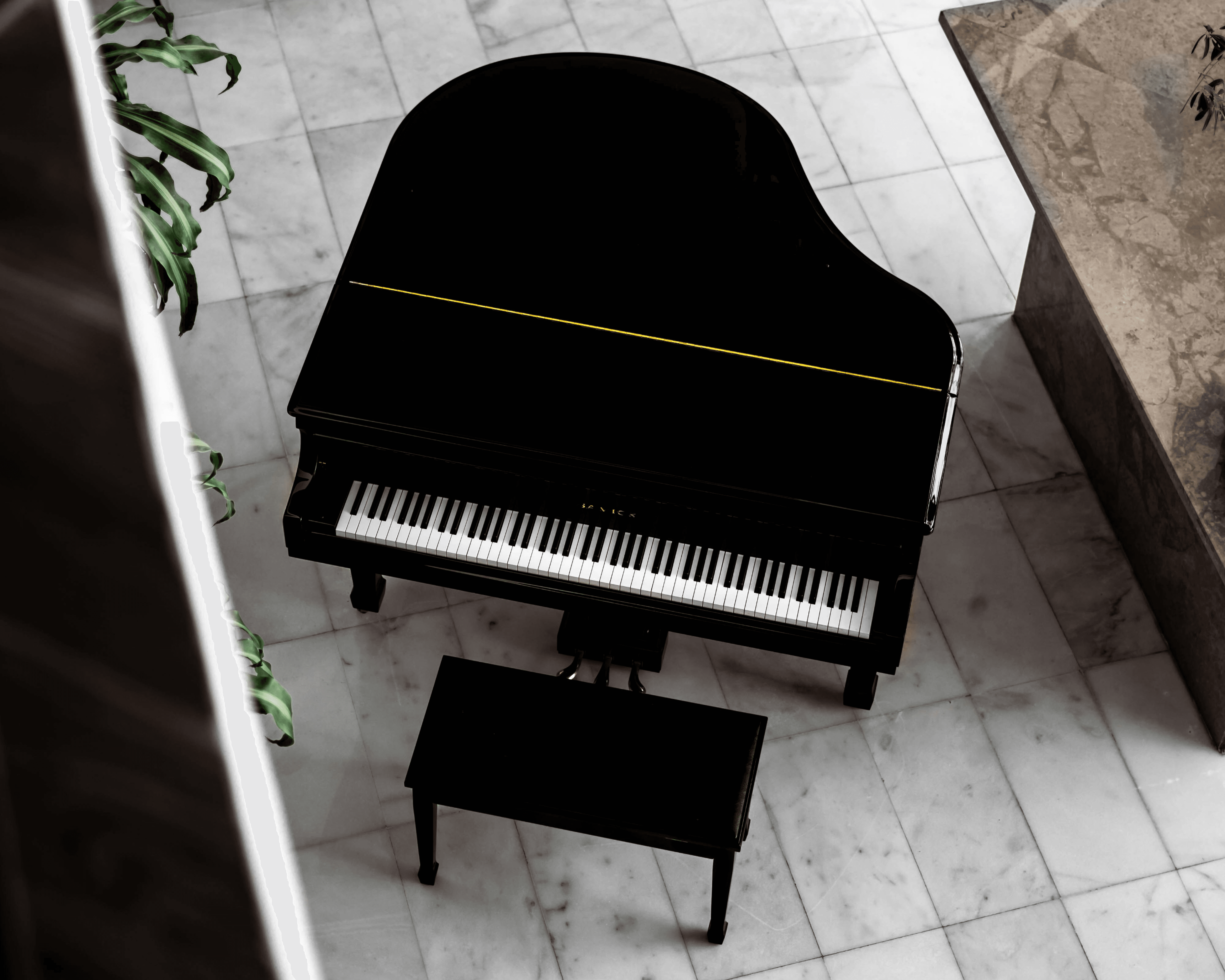 Carte européenne numérisée