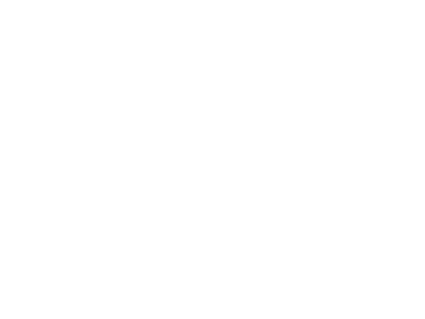 SCSEG