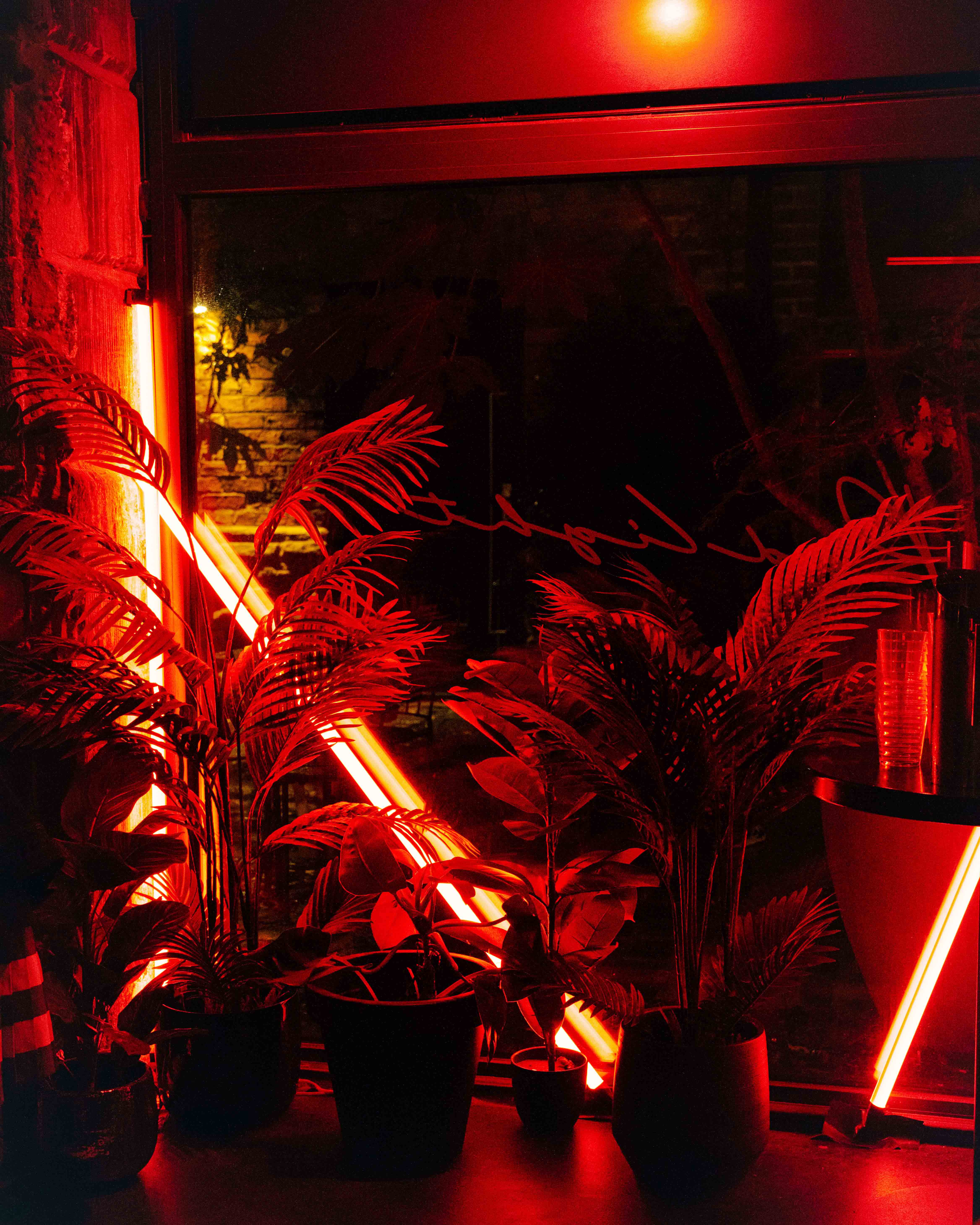 Bottles of olive standing on the marble counter
