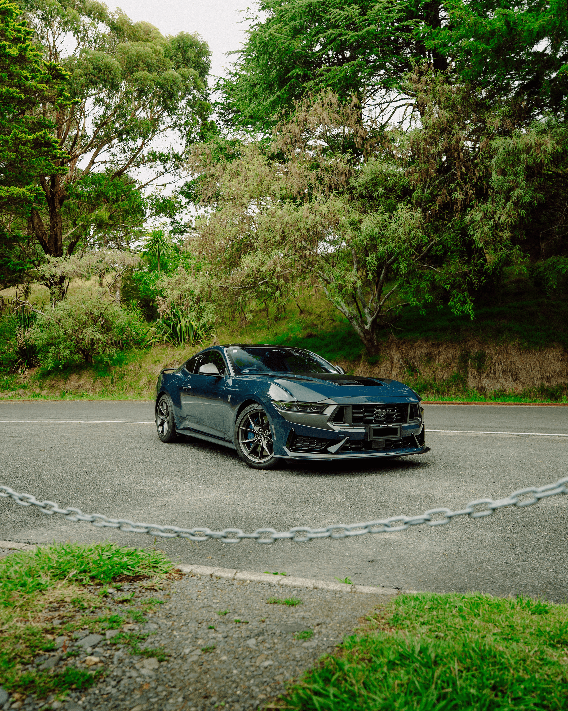 Ford Mustang Dark Horse