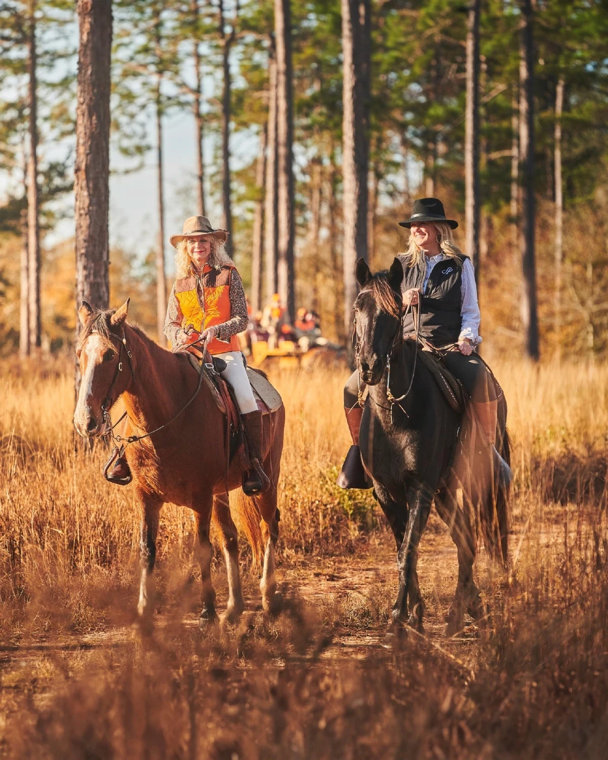 Bellevoire Montmartre