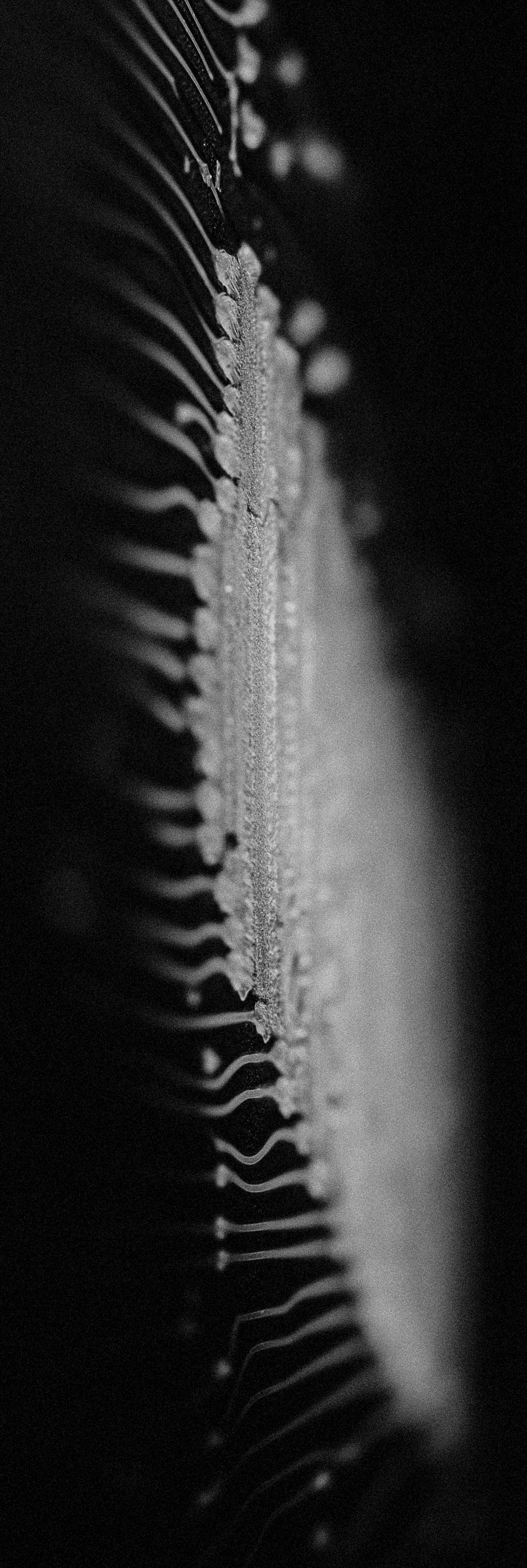 Scientist wearing safety goggles and blue lab attire, using a pipette to transfer liquid into a vial in a laboratory setting.